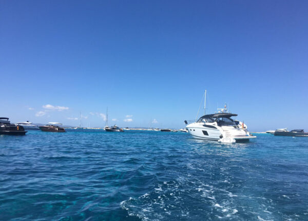 motor yacht princess v 48 jani charter
