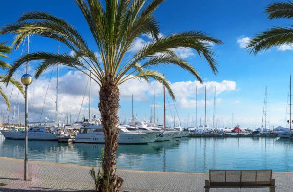 harbour port de mallorca