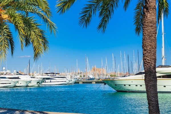 harbour palma de mallorca paseo maritimo