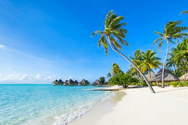 luxury yachting area caribbean